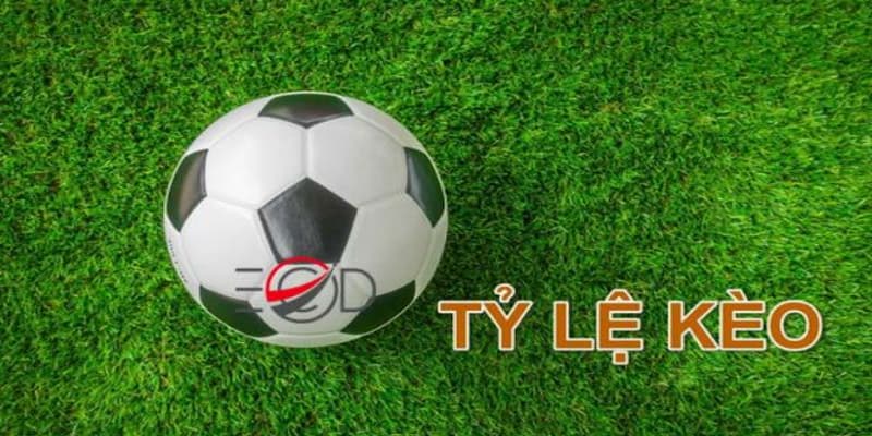 Tổng quan về chuyên mục tỷ lệ kèo của 7M