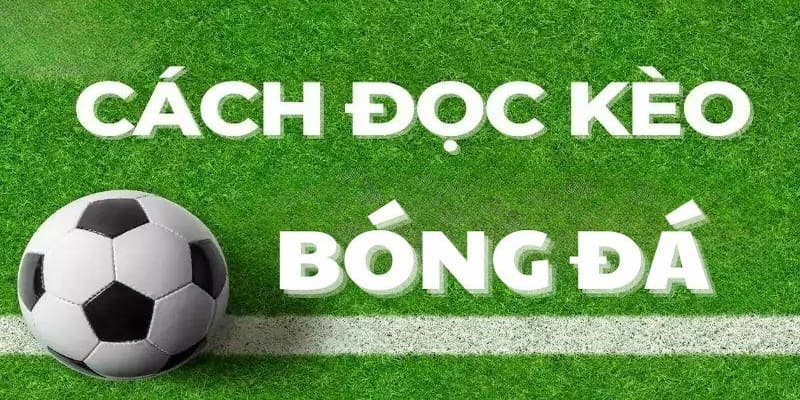 Cách đọc kèo bóng đá châu Á cơ bản nhất