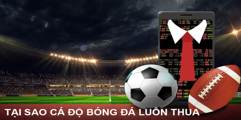 Tại sao cá độ bóng đá luôn thua - chơi theo cảm tính Tại sao cá độ bóng đá luôn thua - chơi theo cảm tính