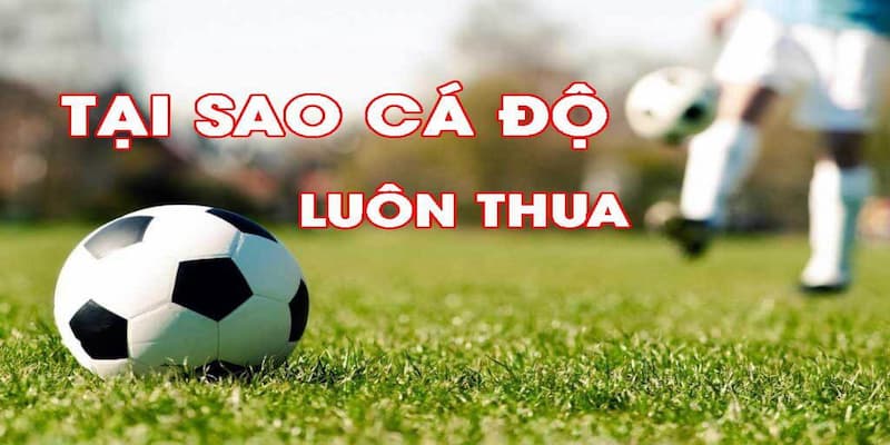 Tìm hiểu 5 lý do tại sao cá độ bóng đá luôn thua Tìm hiểu 5 lý do tại sao cá độ bóng đá luôn thua