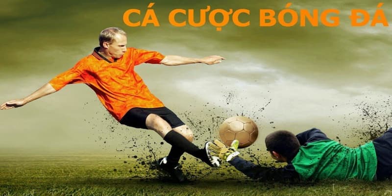 Vai trò của các mẹo cá cược bóng đá luôn thắng